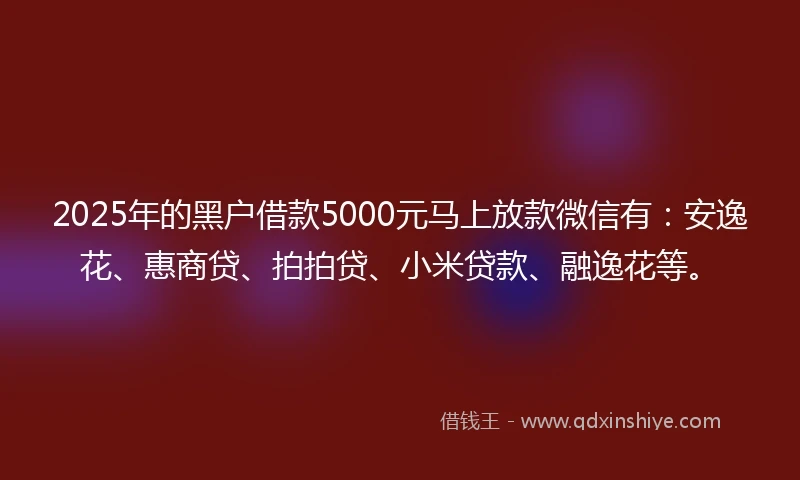 2025年的黑户借款5000元马上放款微信有：安逸花、惠商贷、拍拍贷、小米贷款、融逸花等。