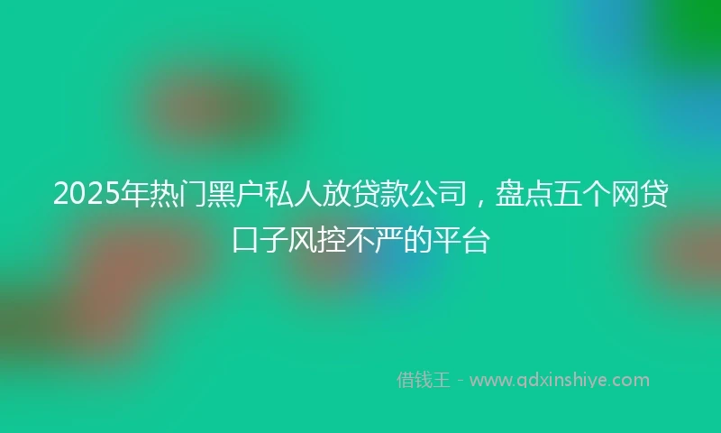 2025年热门黑户私人放贷款公司，盘点五个网贷口子风控不严的平台