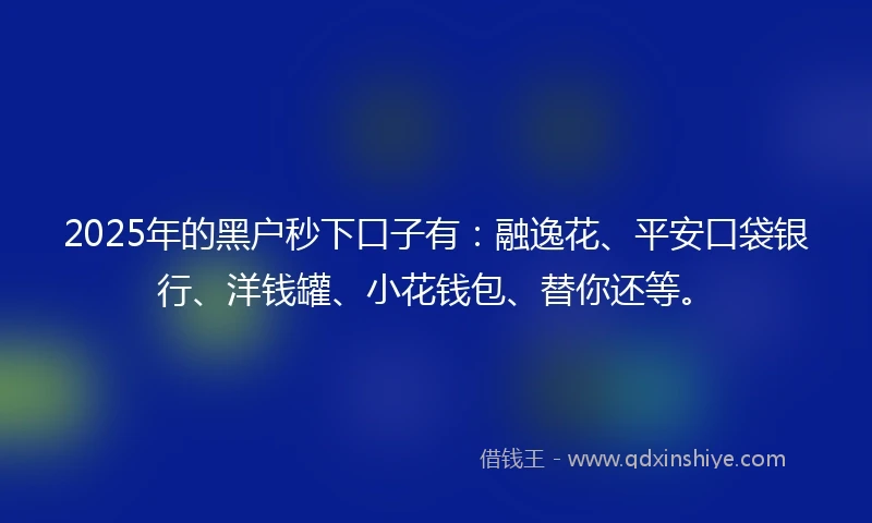 2025年的黑户秒下口子有：融逸花、平安口袋银行、洋钱罐、小花钱包、替你还等。
