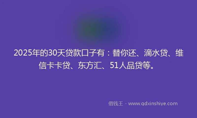 2025年的30天贷款口子有：替你还、滴水贷、维信卡卡贷、东方汇、51人品贷等。