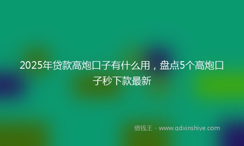 2025年贷款高炮口子有什么用，盘点5个高炮口子秒下款最新