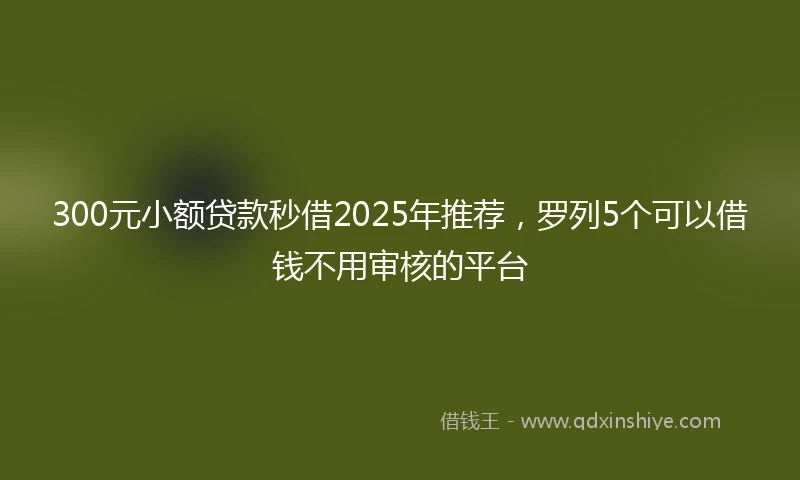 300元小额贷款秒借2025年推荐，罗列5个可以借钱不用审核的平台