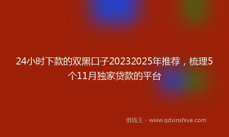 24小时下款的双黑口子20232025年推荐，梳理5个11月独家贷款的平台