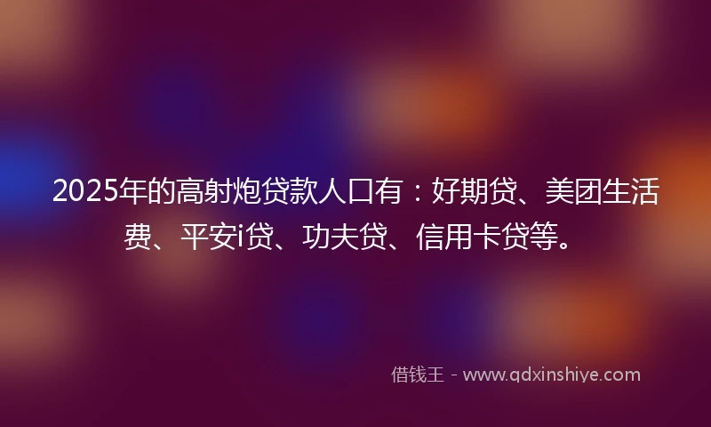 2025年的高射炮贷款人口有：好期贷、美团生活费、平安i贷、功夫贷、信用卡贷等。