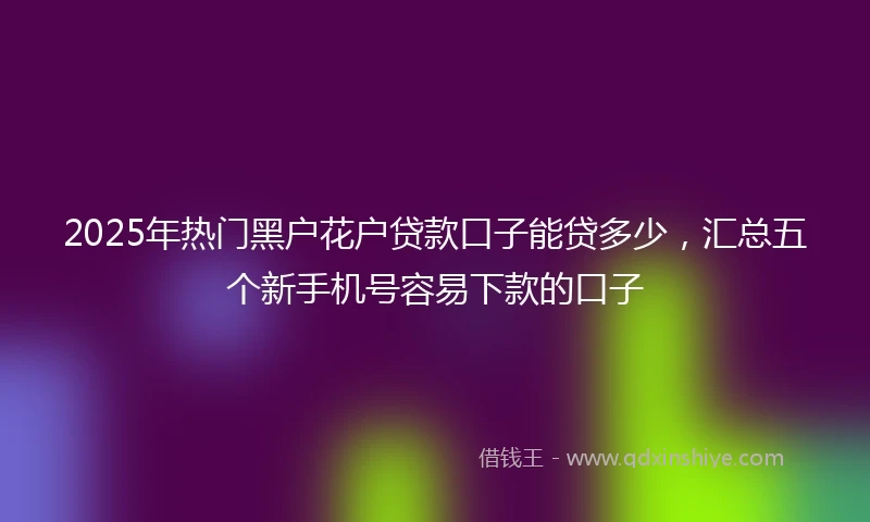 2025年热门黑户花户贷款口子能贷多少，汇总五个新手机号容易下款的口子
