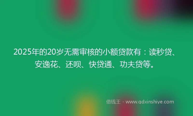 2025年的20岁无需审核的小额贷款有：读秒贷、安逸花、还呗、快贷通、功夫贷等。