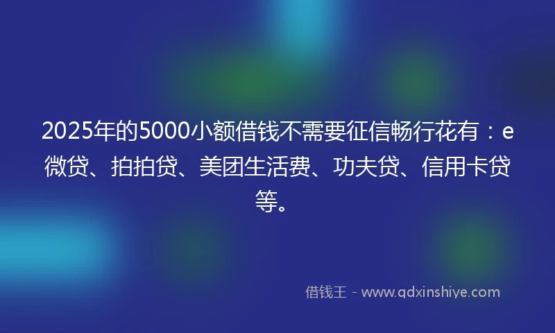 2025年的5000小额借钱不需要征信畅行花有：e微贷、拍拍贷、美团生活费、功夫贷、信用卡贷等。