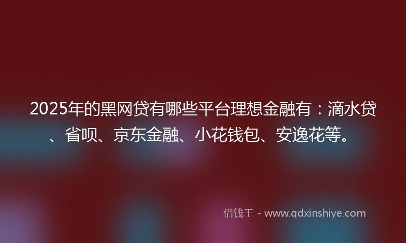 2025年的黑网贷有哪些平台理想金融有：滴水贷、省呗、京东金融、小花钱包、安逸花等。