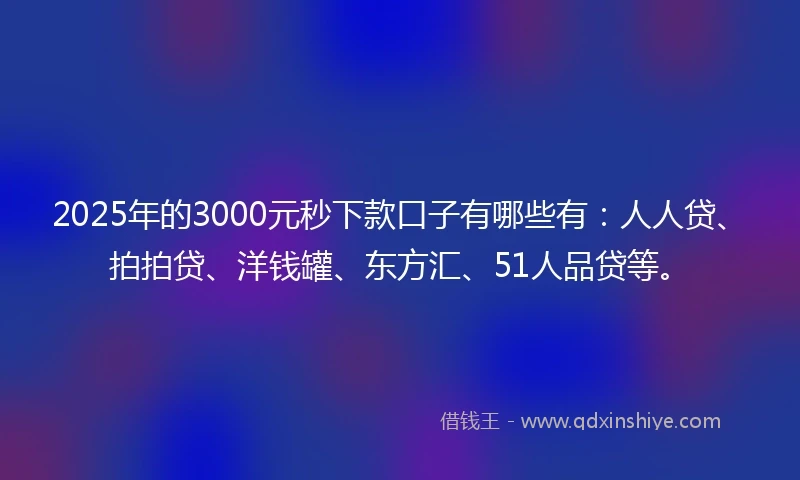 2025年的3000元秒下款口子有哪些有：人人贷、拍拍贷、洋钱罐、东方汇、51人品贷等。