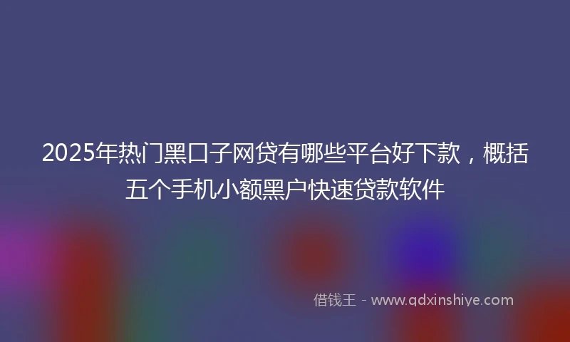 2025年热门黑口子网贷有哪些平台好下款，概括五个手机小额黑户快速贷款软件
