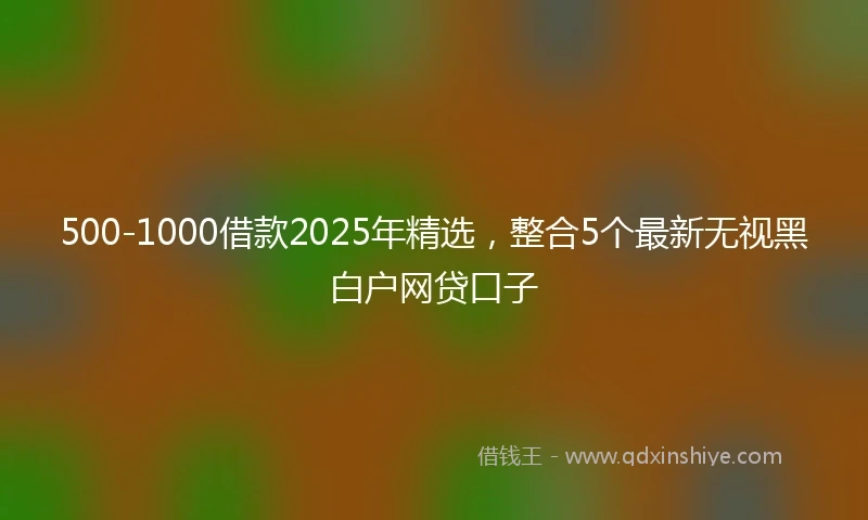 500-1000借款2025年精选，整合5个最新无视黑白户网贷口子