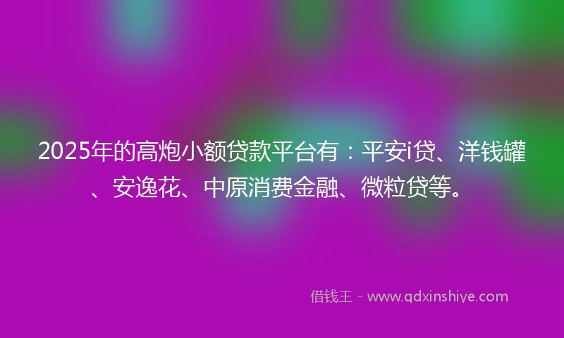 2025年的高炮小额贷款平台有：平安i贷、洋钱罐、安逸花、中原消费金融、微粒贷等。