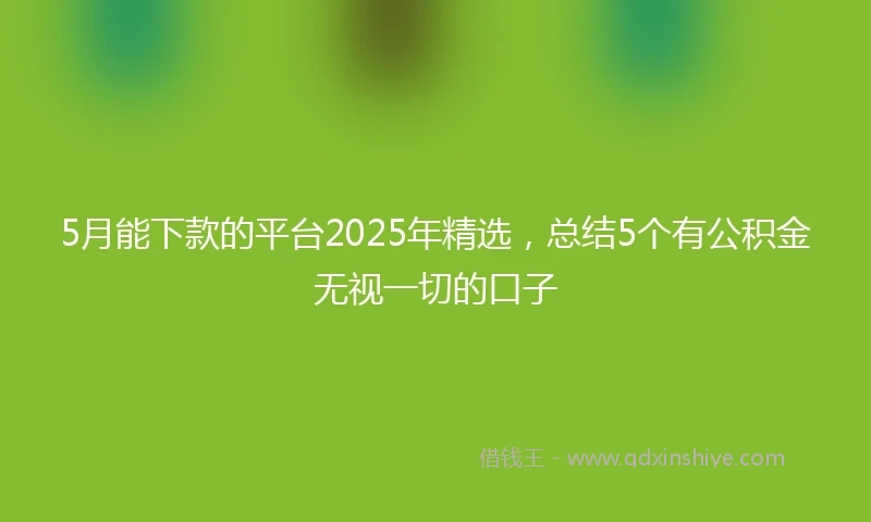 5月能下款的平台2025年精选，总结5个有公积金无视一切的口子