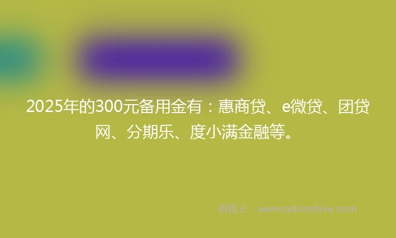 2025年的300元备用金有：惠商贷、e微贷、团贷网、分期乐、度小满金融等。