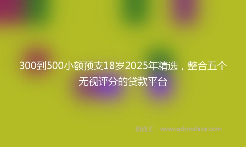 300到500小额预支18岁2025年精选，整合五个无视评分的贷款平台