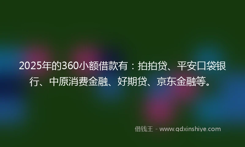 2025年的360小额借款有：拍拍贷、平安口袋银行、中原消费金融、好期贷、京东金融等。
