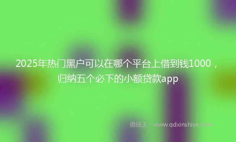 2025年热门黑户可以在哪个平台上借到钱1000，归纳五个必下的小额贷款app