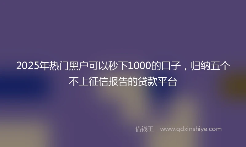 2025年热门黑户可以秒下1000的口子，归纳五个不上征信报告的贷款平台