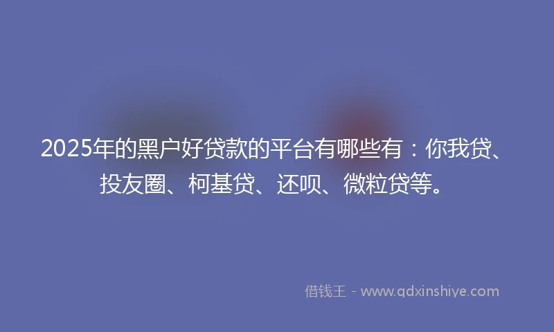 2025年的黑户好贷款的平台有哪些有：你我贷、投友圈、柯基贷、还呗、微粒贷等。
