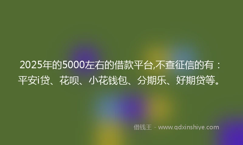 2025年的5000左右的借款平台,不查征信的有：平安i贷、花呗、小花钱包、分期乐、好期贷等。