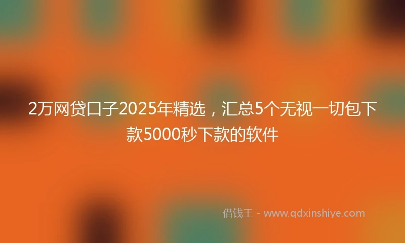 2万网贷口子2025年精选，汇总5个无视一切包下款5000秒下款的软件