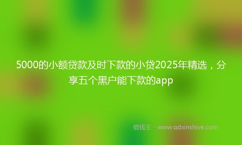 5000的小额贷款及时下款的小贷2025年精选，分享五个黑户能下款的app
