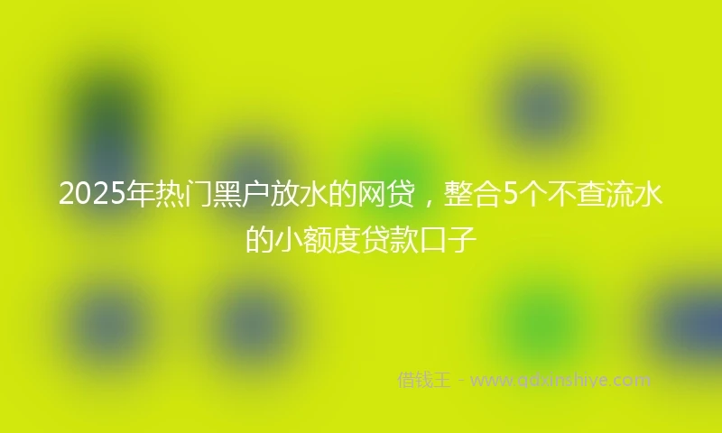 2025年热门黑户放水的网贷，整合5个不查流水的小额度贷款口子