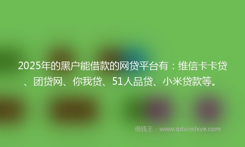 2025年的黑户能借款的网贷平台有：维信卡卡贷、团贷网、你我贷、51人品贷、小米贷款等。