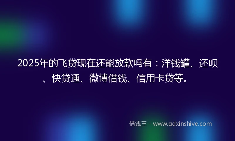2025年的飞贷现在还能放款吗有：洋钱罐、还呗、快贷通、微博借钱、信用卡贷等。