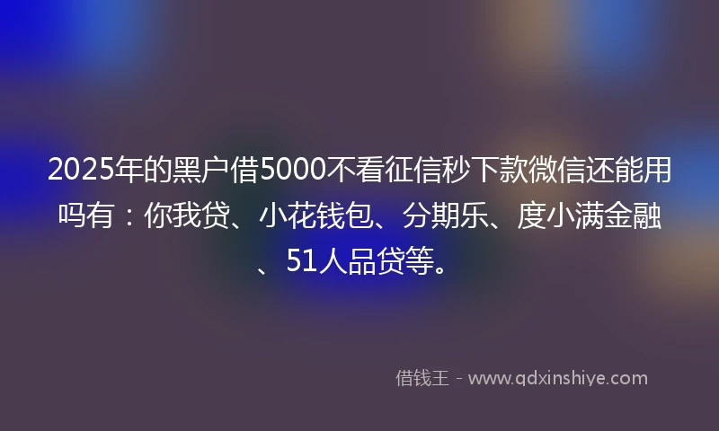 2025年的黑户借5000不看征信秒下款微信还能用吗有：你我贷、小花钱包、分期乐、度小满金融、51人品贷等。