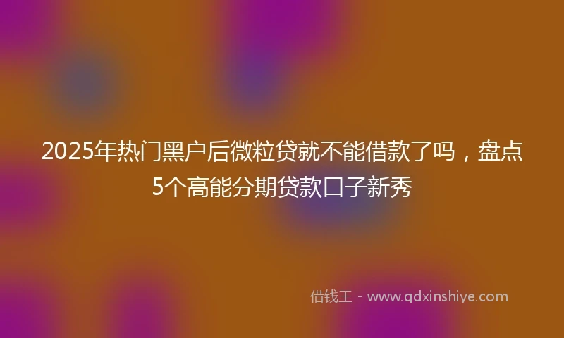 2025年热门黑户后微粒贷就不能借款了吗，盘点5个高能分期贷款口子新秀