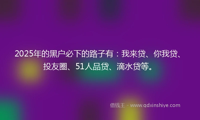 2025年的黑户必下的路子有：我来贷、你我贷、投友圈、51人品贷、滴水贷等。