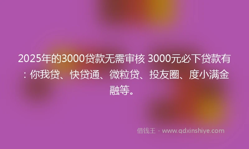 2025年的3000贷款无需审核 3000元必下贷款有：你我贷、快贷通、微粒贷、投友圈、度小满金融等。