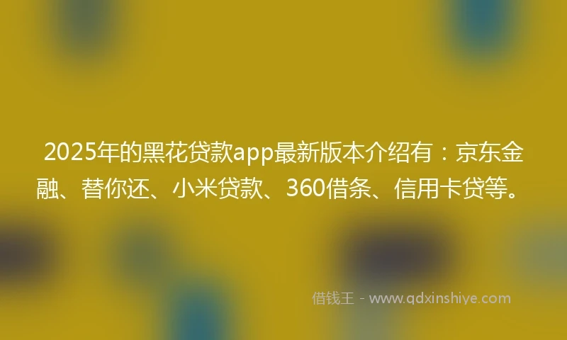 2025年的黑花贷款app最新版本介绍有：京东金融、替你还、小米贷款、360借条、信用卡贷等。