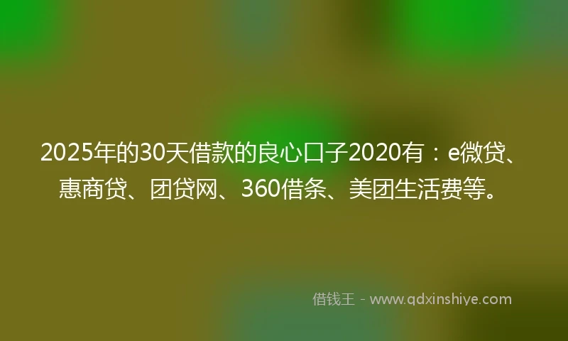 2025年的30天借款的良心口子2020有：e微贷、惠商贷、团贷网、360借条、美团生活费等。