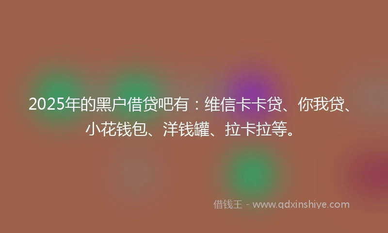 2025年的黑户借贷吧有：维信卡卡贷、你我贷、小花钱包、洋钱罐、拉卡拉等。