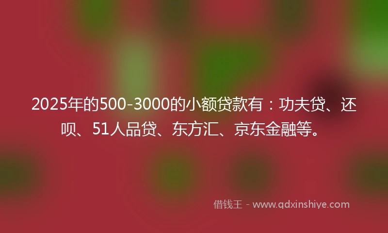 2025年的500-3000的小额贷款有：功夫贷、还呗、51人品贷、东方汇、京东金融等。