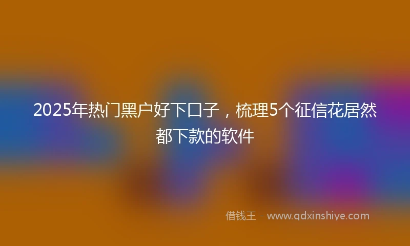 2025年热门黑户好下口子，梳理5个征信花居然都下款的软件