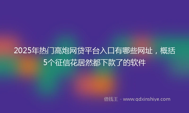 2025年热门高炮网贷平台入口有哪些网址，概括5个征信花居然都下款了的软件