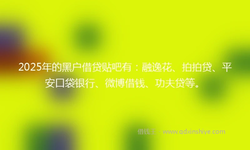 2025年的黑户借贷贴吧有：融逸花、拍拍贷、平安口袋银行、微博借钱、功夫贷等。