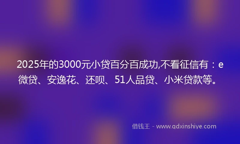 2025年的3000元小贷百分百成功,不看征信有：e微贷、安逸花、还呗、51人品贷、小米贷款等。