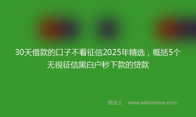 30天借款的口子不看征信2025年精选，概括5个无视征信黑白户秒下款的贷款