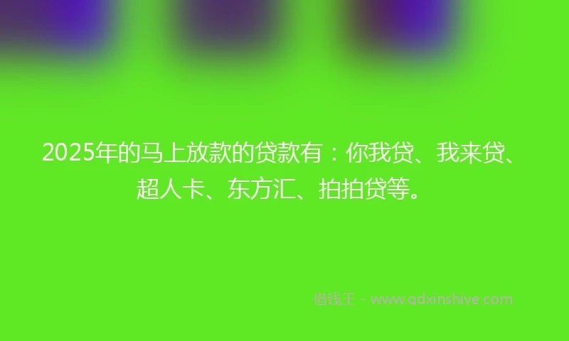2025年的马上放款的贷款有：你我贷、我来贷、超人卡、东方汇、拍拍贷等。