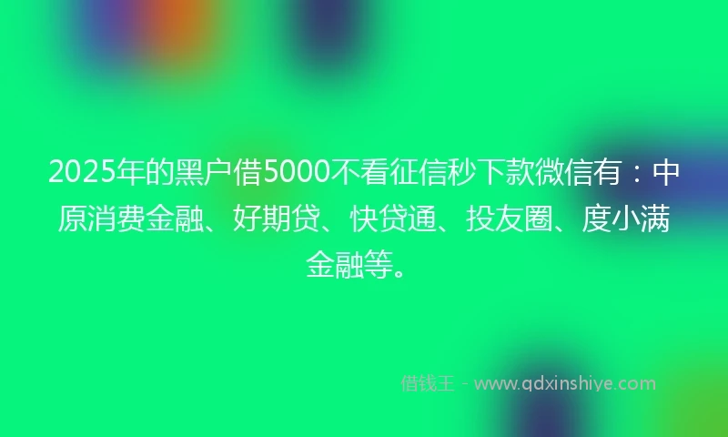 2025年的黑户借5000不看征信秒下款微信有：中原消费金融、好期贷、快贷通、投友圈、度小满金融等。