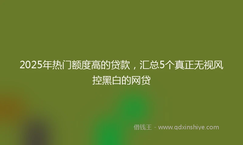 2025年热门额度高的贷款，汇总5个真正无视风控黑白的网贷