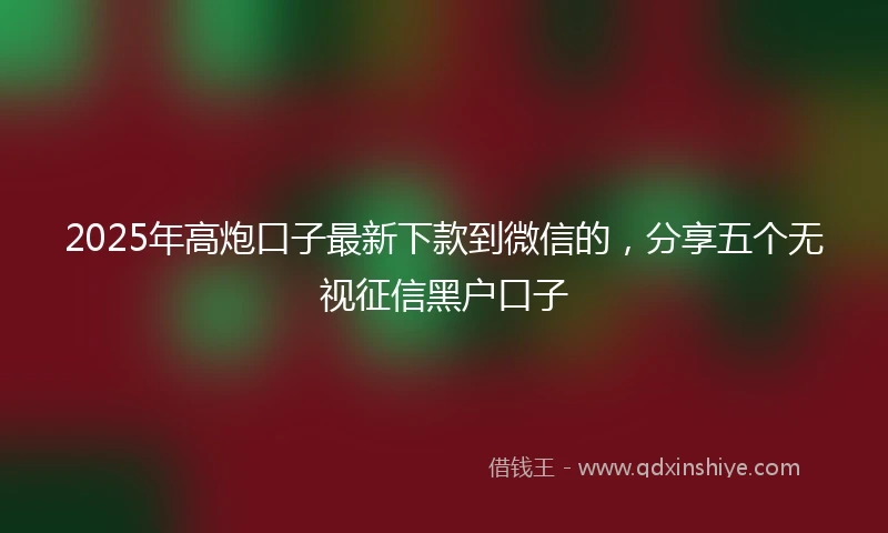 2025年高炮口子最新下款到微信的，分享五个无视征信黑户口子