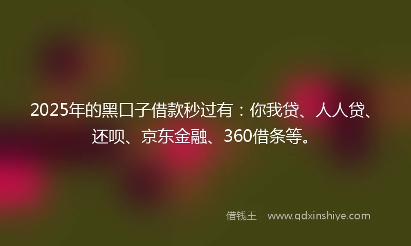2025年的黑口子借款秒过有：你我贷、人人贷、还呗、京东金融、360借条等。