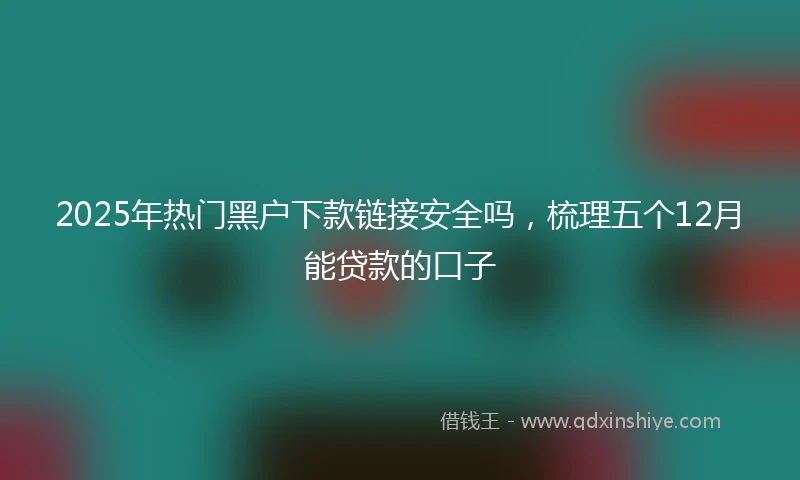 2025年热门黑户下款链接安全吗，梳理五个12月能贷款的口子