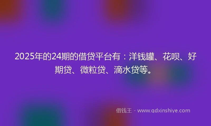 2025年的24期的借贷平台有：洋钱罐、花呗、好期贷、微粒贷、滴水贷等。