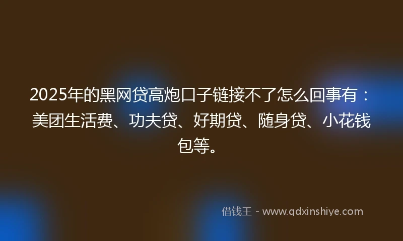 2025年的黑网贷高炮口子链接不了怎么回事有：美团生活费、功夫贷、好期贷、随身贷、小花钱包等。